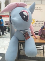 Size: 3096x4128 | Tagged: safe, imported from derpibooru, twilight sparkle, oc, oc:trybik, alicorn, earth pony, human, pony, badge, irl, photo, plushie, poland, polish, twilight sparkle (alicorn), university, warsaw