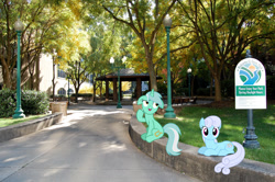Size: 2048x1362 | Tagged: safe, imported from derpibooru, linky, lyra heartstrings, shoeshine, earth pony, pony, unicorn, background pony, charleston, female, gazebo, irl, looking at you, mare, open mouth, photo, ponies in real life, sitting, smiling, west virginia