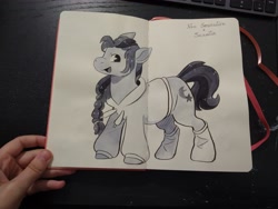 Size: 4000x3000 | Tagged: safe, artist:cutepencilcase, imported from derpibooru, sunny starscout, earth pony, pony, clothes, g5, hoodie, solo, traditional art