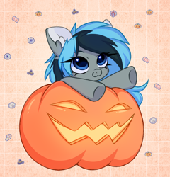 Size: 2876x2992 | Tagged: safe, artist:pesty_skillengton, imported from derpibooru, oc, oc only, oc:luny, pony, chibi, cute, female, halloween, holiday, mare, pumpkin, solo