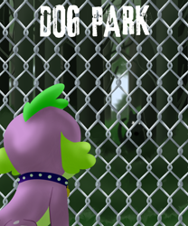 Size: 2000x2400 | Tagged: safe, artist:sixes&sevens, imported from derpibooru, spike, spike the regular dog, dog, equestria girls, collar, creepy, fanfic, fanfic art, fanfic cover, fence, forest, looking away, spike the dog