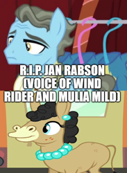 Size: 500x683 | Tagged: safe, edit, edited screencap, imported from derpibooru, screencap, mulia mild, wind rider, hybrid, mule, pegasus, pony, mmmystery on the friendship express, rarity investigates, comic, female, in memoriam, jan rabson, male, rest in peace, screencap comic, stallion