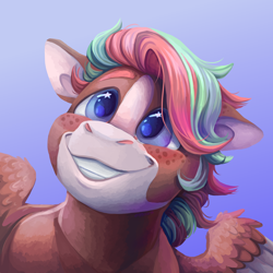 Size: 2000x2000 | Tagged: safe, artist:eggoatt, imported from twibooru, oc, oc only, unnamed oc, pegasus, pony, eyebrows, freckles, gradient background, grin, image, male, png, puppy dog eyes, smiling, solo, stallion