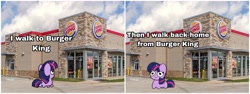 Size: 3464x1309 | Tagged: safe, artist:kittyrosie, imported from derpibooru, twilight sparkle, alicorn, pony, boulevard of broken dreams, burger king, green day, irl, meme, parody of a parody, photo, twiggie, twilight sparkle (alicorn)