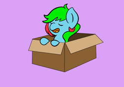 Size: 842x595 | Tagged: safe, anonymous artist, imported from derpibooru, oc, oc only, oc:precised note, pegasus, pony, box, eyelashes, eyes closed, female, filly, foal, open mouth, pony in a box, purple background, simple background, smol, solo, two toned mane