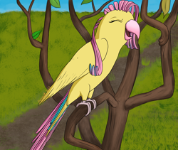 Size: 1280x1080 | Tagged: safe, artist:parronist, imported from derpibooru, fluttershy, bird, parrot, birdified, eyes closed, female, solo, species swap, tree, tree branch, yay