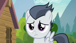 Size: 1920x1080 | Tagged: safe, imported from derpibooru, screencap, rumble, pegasus, pony, marks and recreation, season 7, 1080p, close-up, colt, cute, foal, frown, looking at you, male, rumblebetes, sad, sadorable, solo, spread wings, wings