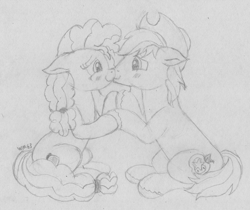 Size: 2717x2280 | Tagged: safe, artist:wapamario63, imported from ponybooru, bright mac, pear butter, earth pony, pony, the perfect pear, blushing, brightbutter, cute, duo, female, hat, husband and wife, male, mare, married couple, monochrome, shipping, sketch, smiling, stallion, straight, traditional art