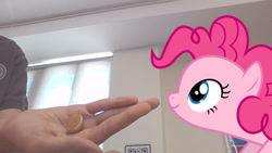 Size: 1280x720 | Tagged: safe, imported from derpibooru, pinkie pie, earth pony, human, pony, candy, cute, diapinkes, female, food, irl, mare, photo, ponies in real life, smiling, solo