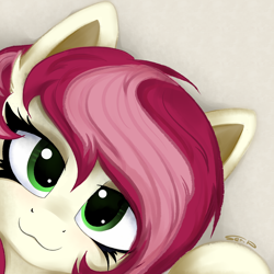 Size: 4000x4000 | Tagged: safe, artist:ser-p, imported from derpibooru, roseluck, earth pony, pony, :3, absurd resolution, cute, female, looking at you, mare, rosabetes, signature, simple background, smiling, solo