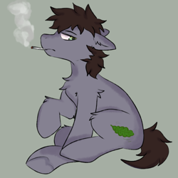 Size: 960x960 | Tagged: safe, artist:korpsegutz, imported from derpibooru, oc, oc only, oc:theta h, pony, blunt, brown mane, drugs, heart, hoof heart, leaf, male, marijuana, short tail, simple background, smoke, smoke weed everyday, smoking, solo, tail