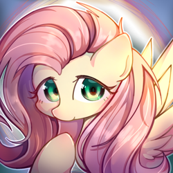 Size: 1080x1080 | Tagged: source needed, safe, artist:flutershe, imported from derpibooru, fluttershy, pegasus, pony, cute, shyabetes, solo