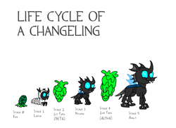 Size: 3508x2552 | Tagged: safe, artist:dragonboi471, imported from derpibooru, changeling, changeling larva, nymph, caption, changeling egg, changeling slime, cocoon, egg, evolution chart, image macro, life cycle, text