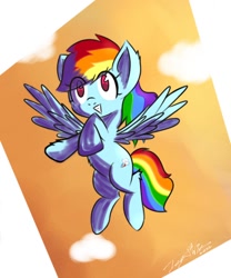 Size: 1000x1200 | Tagged: safe, artist:icy wind, imported from derpibooru, rainbow dash, pegasus, pony, afternoon, flying, solo