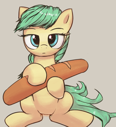 Size: 2030x2222 | Tagged: safe, artist:vultraz, imported from derpibooru, sunshower raindrops, pegasus, pony, baguette, bread, female, food, hoof hold, looking at you, mare, simple background, sitting, solo, that pony sure does love bread