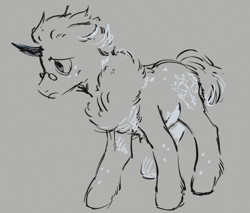 Size: 1143x976 | Tagged: safe, artist:geonid, derpibooru exclusive, imported from derpibooru, oc, oc only, original species, pony, unicorn, chest fluff, digital art, ear fluff, fluffy, horn, lineart, male, monochrome, sketch, solo, stallion, unicorn oc