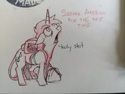Size: 2048x1536 | Tagged: safe, artist:maxiima, imported from derpibooru, oc, oc only, pony, unicorn, luggage, shocked, shocked expression, sketch, solo, traditional art, vulgar