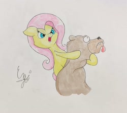 Size: 1667x1489 | Tagged: safe, artist:engi, imported from derpibooru, fluttershy, harry, bear, pegasus, pony, lesson zero, aggressive, angry eyes, female, open mouth, simple background, tongue out, traditional art, watercolor painting