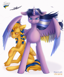 Size: 2480x3000 | Tagged: safe, artist:hajster, imported from derpibooru, oc, oc only, oc:paddy sparkle, oc:ukraine, alicorn, pegasus, pony, a-10 thunderbolt ii, alicorn oc, blurr, braid, braided ponytail, commission, current events, defending, fighter, horn, injured, nation ponies, plane, ponified, rainbow power, sitting, spread wings, standing, ukraine, wings, ych result