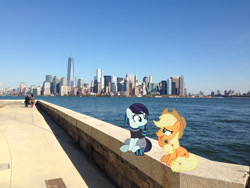 Size: 2048x1536 | Tagged: safe, artist:estories, artist:jaredking779, artist:jhayarr23, imported from derpibooru, applejack, coloratura, earth pony, pony, clothes, cowboy hat, female, hat, irl, manhattan, mare, new york, new york city, photo, ponies in real life, see-through, sitting, stetson