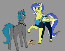 Size: 2750x2150 | Tagged: safe, artist:stray prey, imported from derpibooru, oc, oc only, oc:lemon frost, oc:lucent, pegasus, pony, unicorn, box, clothes, dock, duo, female, gray background, horn, larger female, looking at each other, male, mare, neckerchief, open mouth, package, raised hoof, simple background, size difference, smaller male, stallion, tail, wings