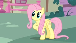 Size: 1920x1080 | Tagged: safe, imported from derpibooru, screencap, fluttershy, pegasus, pony, season 1, stare master, 1080p, cute, female, folded wings, mare, shyabetes, smiling, solo, wings