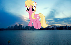 Size: 2048x1311 | Tagged: safe, imported from derpibooru, lily, lily valley, earth pony, pony, australia, background pony, female, flower, flower in hair, giant pony, giant/macro earth pony, giantess, highrise ponies, irl, lily (flower), looking at you, macro, mega giant, photo, ponies in real life, smiling, solo, sydney