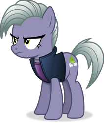 Size: 2899x3414 | Tagged: safe, alternate version, artist:anime-equestria, imported from derpibooru, limestone pie, earth pony, pony, annoyed, clothes, female, jacket, jewelry, mare, necklace, simple background, solo, transparent background, vector