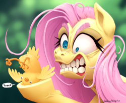 Size: 3508x2885 | Tagged: safe, artist:docwario, artist:katputze, imported from derpibooru, fluttershy, bird, pegasus, pony, angry, anus, bust, collaboration, faic, female, fluttober, gritted teeth, hoof hold, mare, out of character, pun, simplistic anus, solo, speech bubble, teeth, visual pun