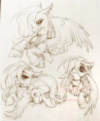 Size: 1080x1307 | Tagged: safe, artist:paipaishuaige, imported from derpibooru, oc, oc only, pegasus, pony, sketch, solo, traditional art