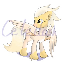 Size: 1000x1000 | Tagged: safe, artist:celedash, imported from derpibooru, oc, pegasus, pony, female, nymphicus hollandicus, simple background, smiling, white background