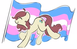 Size: 2223x1430 | Tagged: safe, artist:manicpanda, imported from derpibooru, oc, oc only, earth pony, pony, earth pony oc, pride flag, pride month, simple background, solo, transgender, white background