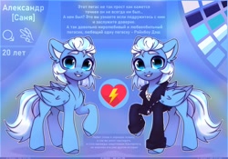 Size: 4000x2800 | Tagged: safe, artist:radioaxi, imported from derpibooru, oc, oc only, pegasus, pony, blue coat, blue eyes, blue wings, clothes, colored, cyrillic, high res, hooves, looking at you, male, raised hoof, reference sheet, russian, slim, solo, standing, wings