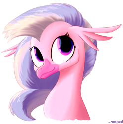 Size: 6371x6429 | Tagged: safe, artist:moped_cirrus, imported from derpibooru, silverstream, hippogriff, absurd resolution, bust, cute, diastreamies, female, looking up, portrait, simple background, smiling, solo, white background