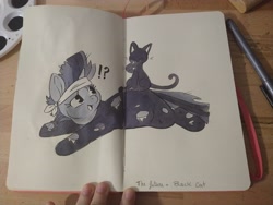 Size: 4000x3000 | Tagged: safe, artist:cutepencilcase, imported from derpibooru, twilight sparkle, cat, pony, unicorn, black cat, exclamation point, future twilight, interrobang, open mouth, question mark, solo, traditional art, unicorn twilight