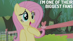 Size: 1920x1080 | Tagged: safe, edit, edited screencap, editor:quoterific, imported from derpibooru, screencap, fluttershy, pegasus, pony, filli vanilli, cute, female, hoof on chest, mare, open mouth, open smile, shyabetes, smiling, solo