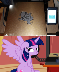Size: 2360x2880 | Tagged: safe, artist:badumsquish, derpibooru exclusive, imported from derpibooru, trixie, twilight sparkle, alicorn, pony, unicorn, 3d print, 3d printer, :t, female, floppy ears, glare, golden oaks library, inconvenient trixie, irl, looking away, mare, photo, ponies in real life, show accurate, sitting, solo, spread wings, style emulation, twilight sparkle (alicorn), twilight sparkle is not amused, unamused, wings, woonoggles
