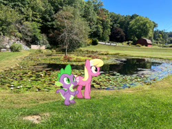 Size: 1032x774 | Tagged: safe, edit, editor:undeadponysoldier, imported from ponybooru, photographer:undeadponysoldier, lily, lily valley, spike, dragon, earth pony, pony, barn, date, edited photo, female, hanging out, lilypad, lilyspike, male, mare, outdoors, pond, tree, walking