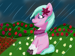 Size: 2400x1800 | Tagged: safe, artist:the crystal artist, derpibooru exclusive, imported from derpibooru, earth pony, pony, bush, clothes, cloud, cloudy, coat markings, dahlia, dirt, female, flower, flower in hair, g5, garden, grass, happy, lineless, mare, peaceful, rain, rose, scarf, shading, shading practice, smiling, socks (coat markings), solo, unshorn fetlocks, water, wet, wet mane