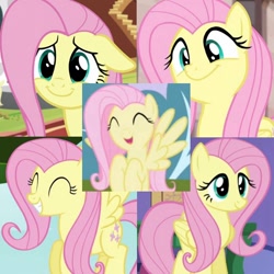 Size: 720x720 | Tagged: safe, artist:megalobronia, edit, imported from derpibooru, screencap, fluttershy, pegasus, pony, daring don't, fluttershy leans in, friendship is magic, season 1, season 4, season 5, season 7, the cutie map, the one where pinkie pie knows, ^^, collage, cute, eyes closed, female, floppy ears, folded wings, gritted teeth, happy, mare, shyabetes, smiling, spread wings, teeth, wings