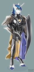 Size: 1416x3000 | Tagged: safe, artist:leonerdman, imported from derpibooru, shining armor, anthro, unguligrade anthro, armor, cape, chestplate, clothes, helmet, shield, solo