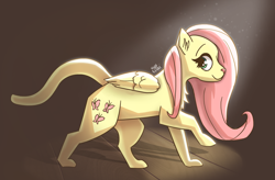 Size: 3000x1962 | Tagged: safe, artist:nyanakaru, imported from derpibooru, fluttershy, cat, catified, chest fluff, female, fluttercat, folded wings, signature, smiling, solo, species swap, sunlight, winged cat, wings