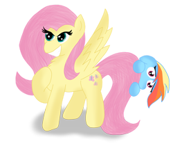 Size: 1280x1058 | Tagged: safe, artist:zeccy-zebra, imported from derpibooru, fluttershy, rainbow dash, pegasus, pony, duo, female, grin, hiding, mare, personality swap, ponytober, shy, simple background, smiling, transparent background