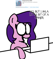 Size: 1275x1414 | Tagged: safe, artist:professorventurer, imported from derpibooru, pipp petals, pegasus, pony, series:ask pippamena, computer, female, g5, gamer pipp, laptop computer, pippamena, simple background, solo, white background