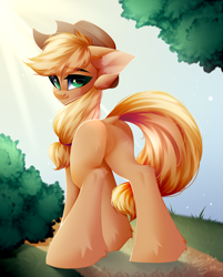 Size: 3221x4000 | Tagged: safe, artist:shinoshai, imported from derpibooru, applejack, earth pony, pony, applebutt, butt, female, g4, looking at you, looking back, looking back at you, mare, plot, solo