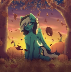 Size: 3219x3233 | Tagged: safe, artist:angie imagines, imported from derpibooru, oc, oc only, oc:euro, pegasus, pony, autumn, chest fluff, commission, ear fluff, falling leaves, female, grass, heterochromia, leaves, mare, pegasus oc, pumpkin, solo, sunset, tree, wings