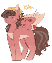 Size: 1000x1221 | Tagged: safe, artist:eggoatt, imported from twibooru, oc, oc only, oc:small poppies, pegasus, pony, adoptable, flower, freckles, image, male, male symbol, png, simple background, solo, stallion, white background