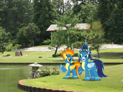 Size: 1600x1200 | Tagged: safe, artist:dashiesparkle, artist:jaredking779, imported from derpibooru, soarin', spitfire, pegasus, pony, clothes, female, garden, goggles, irl, male, mare, memphis, photo, ponies in real life, shipping, soarinfire, stallion, straight, tennessee, uniform, wonderbolts uniform