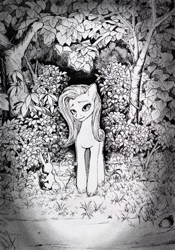 Size: 3264x4676 | Tagged: safe, artist:ph平和, imported from derpibooru, fluttershy, pegasus, pony, black and white, black and white cartoon, dark, dead tree, grass, grass field, grayscale, junji ito, looking at you, monochrome, night, shrub, solo, traditional art, tree, vignette