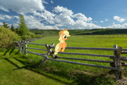 Size: 2048x1365 | Tagged: safe, artist:jaredking779, artist:sunran80, imported from derpibooru, applejack, earth pony, pony, applejack's hat, cowboy hat, female, fence, hat, irl, mare, photo, ponies in real life, scenery, sitting, solo, stetson, wyoming